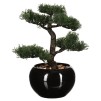 Floare decorativa bonsai