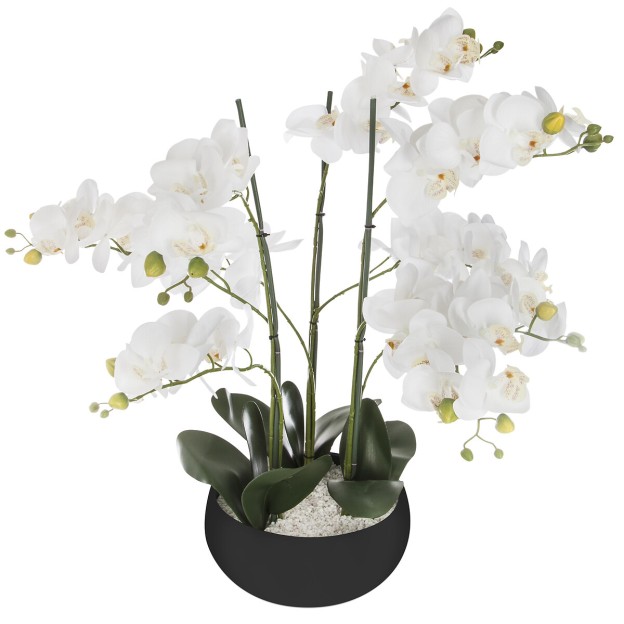 Floare decorativa orchid black