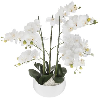 Floare decorativa orchid white