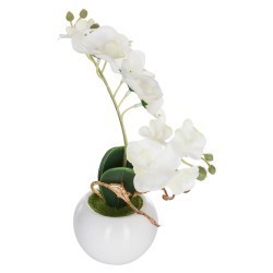 Floare decorativa - orhidee