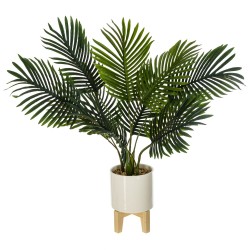 Floare decorativa palmier