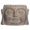 Ghiveci Buddha2