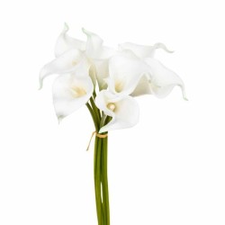 Floare decorativă ARUMS