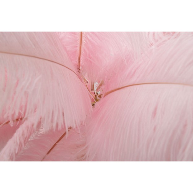 LAMPADAR ROZ PALMER CM Ø 55X160 