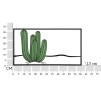 PANOU DE PERETE CACTUS CM 60X1,3X33 