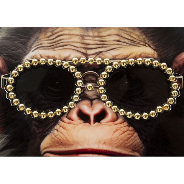 TABLOU DE PERETE CU CADRU MONKY CM 52,5X2,8X72,5