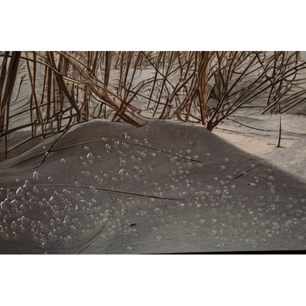 IMPRIMARE PE PÂNZĂ LACĂRITĂ CU RAMĂ -A- CM 152X4X52 