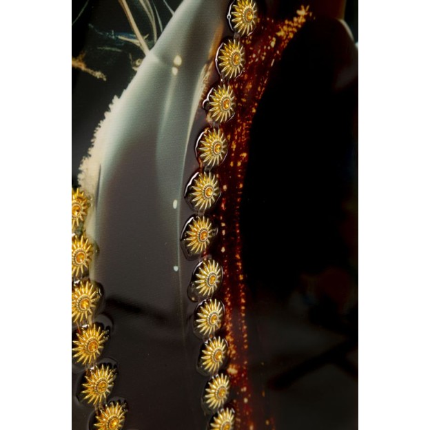 IMPRIMARE PE PÂNZĂ LĂCUITĂ ILLUMY CU RAMĂ - A - CM 62X3,5 X92 