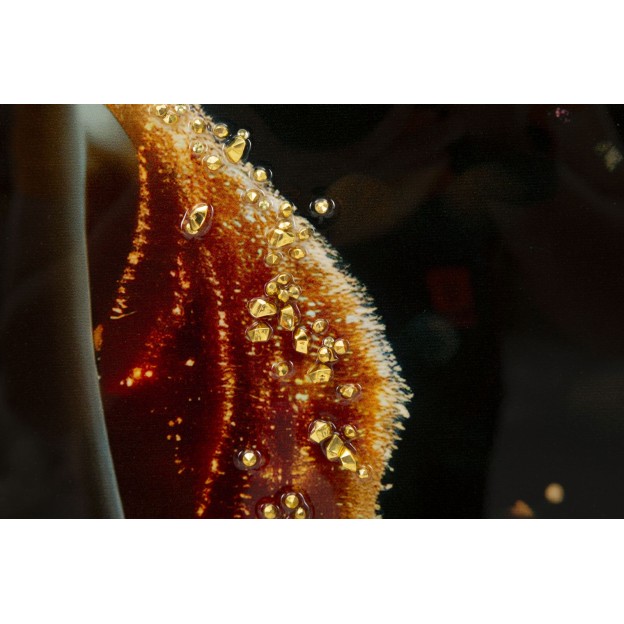 IMPRIMARE PE PÂNZĂ LĂCUITĂ ILLUMY CU RAMĂ - A - CM 62X3,5 X92 