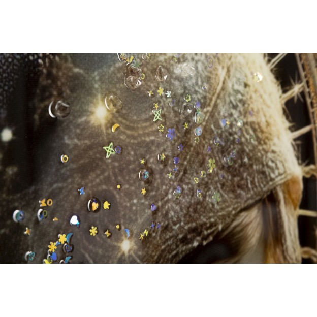 IMPRIMARE PE PÂNZĂ MATERNITATE LACĂRATĂ CU RAMĂ -C- CM 60X3,5X90 