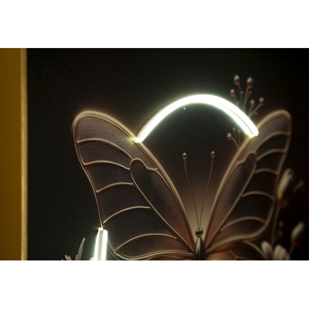 IMPRIMARE PE PÂNZĂ CU FLUTURE LED LACUAȚĂ CU RAMĂ CM 50X4 X50 