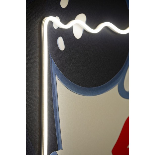 IMPRIMARE PE PÂNZĂ CU LED CECILLE CM 80X4X120 