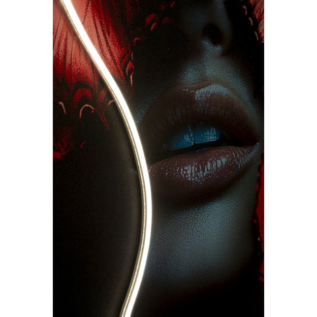 IMPRIMARE PE PÂNZĂ CU FLUTURI LED CM 60X3,5X90 (APLICARE ACRILICĂ 3D) 