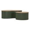 SET DE MĂSUȚĂ DE CAFEA FRANKFURT VERDE 2 BUCĂȚI CM 87X53X32-50X35X28 