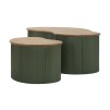 SET DE MĂSUȚĂ DE CAFEA FRANKFURT VERDE 2 BUCĂȚI CM 87X53X32-50X35X28 