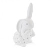 Figurina decorativa iepure Diamentorabbit