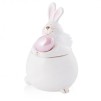 Container Iepuraș FURBUNNY