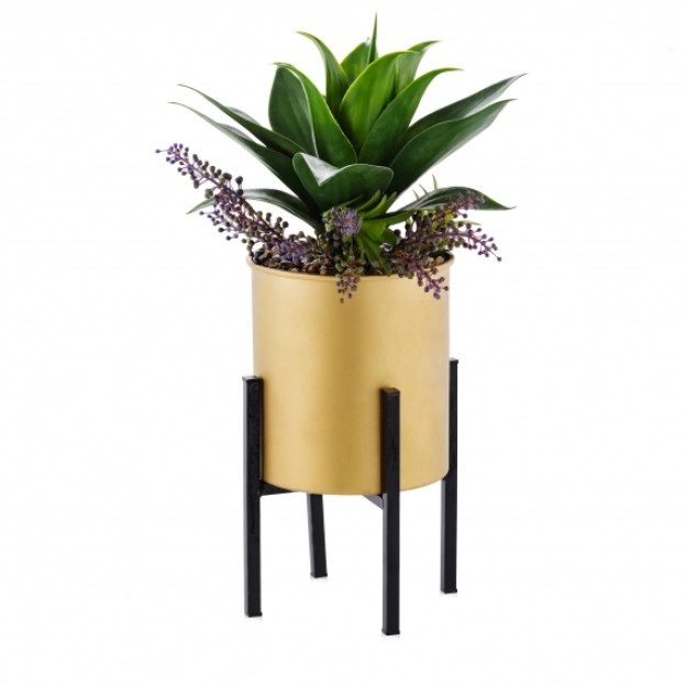 compozitie florala CACTERO