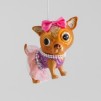 Glob brad Chihuahua