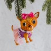 Glob brad Chihuahua