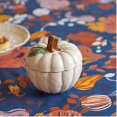 Container pumpkini
