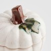 Container pumpkini