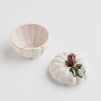 Container pumpkini