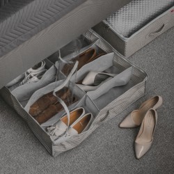 Organizator DELLES