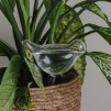 Dispozitiv pentru udat plantele bird