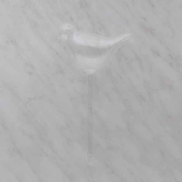 Dispozitiv pentru udat plantele bird