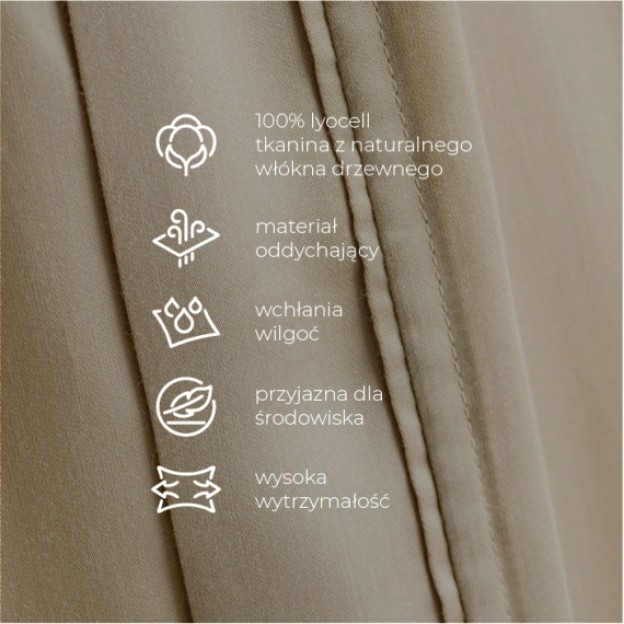 Accesoriu pentru par