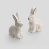 Set recipiente sare si piper buni