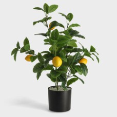 Floare decorativa limones