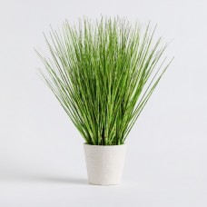 Floare decorativă TRAVERI