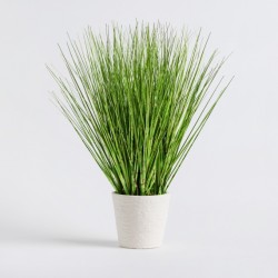 Floare decorativă TRAVERI