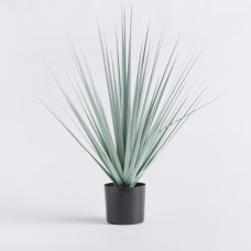 Floare decorativa herba