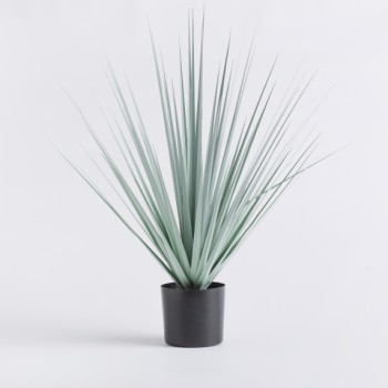 Aranjament Herba