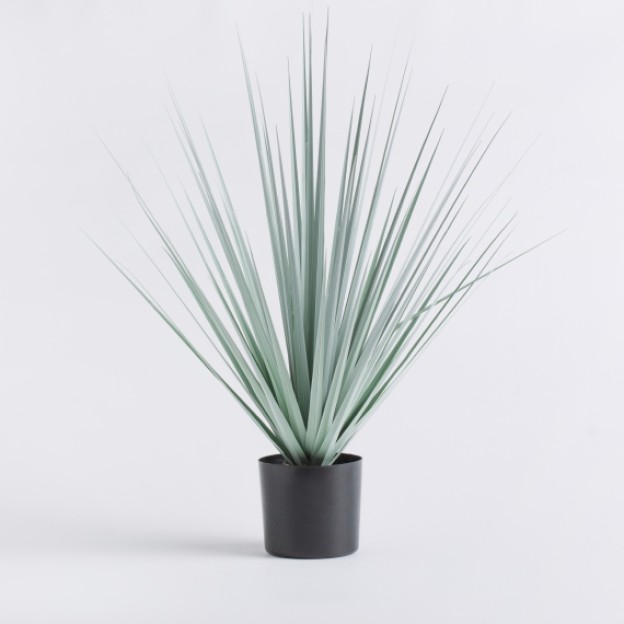 Floare decorativa herba