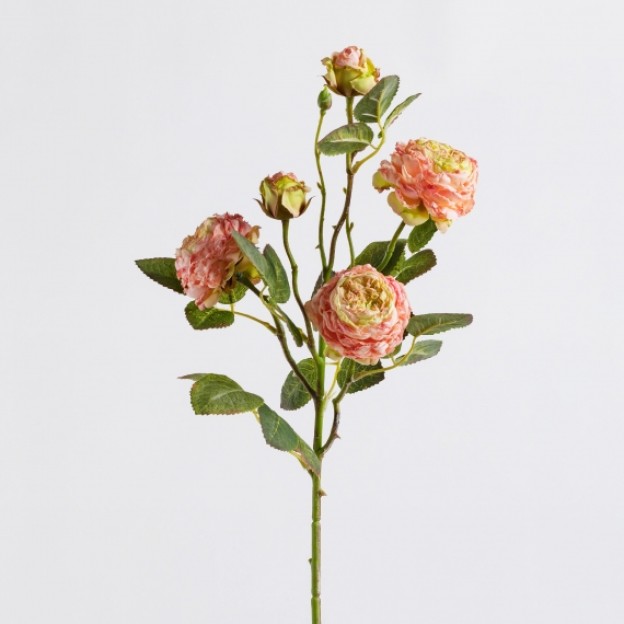 Floare decorativa peoni