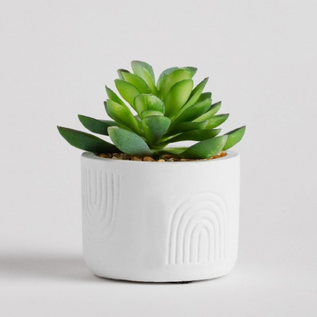 Floare decorativa rasta