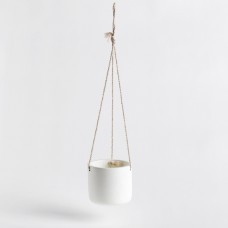 Ghiveci BALANCE