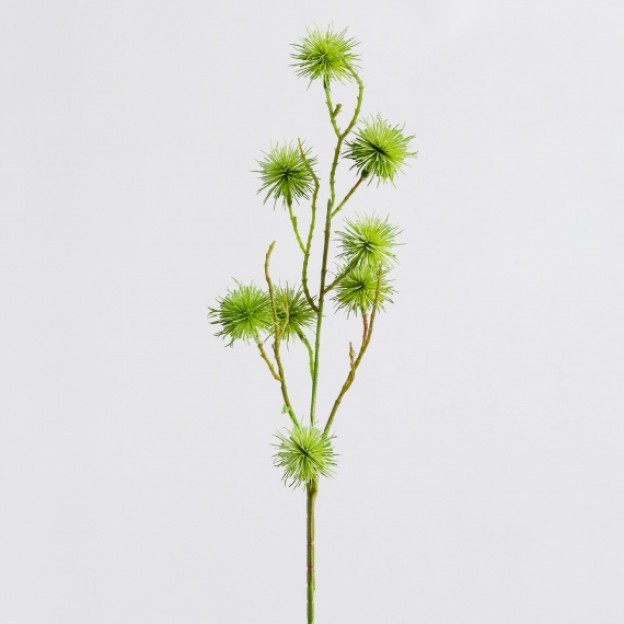 Floare decorativa cardo