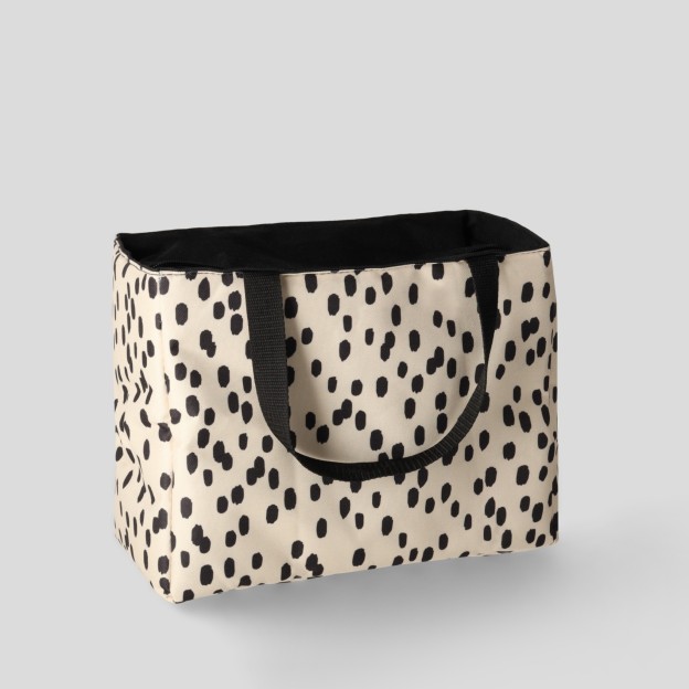 Geanta pentru pranz DAPPLOS