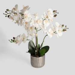 Floare decorativa ORCHIANOS