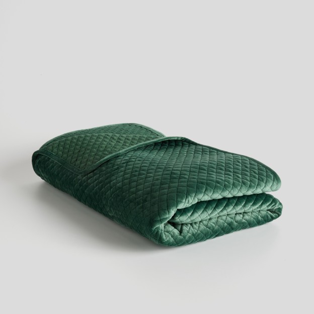 Cuvertura PLUMS verde 200x220 cm