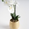 Floare decorativa artificiala ORCHALICA
