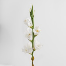 Floare decorativa VONESI