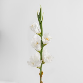 Floare Vonesi alb