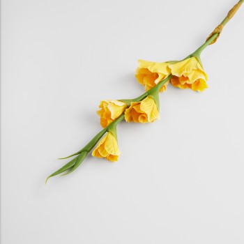 Floare Vonesi galben