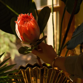 Floare Rovis cu motiv vegetal